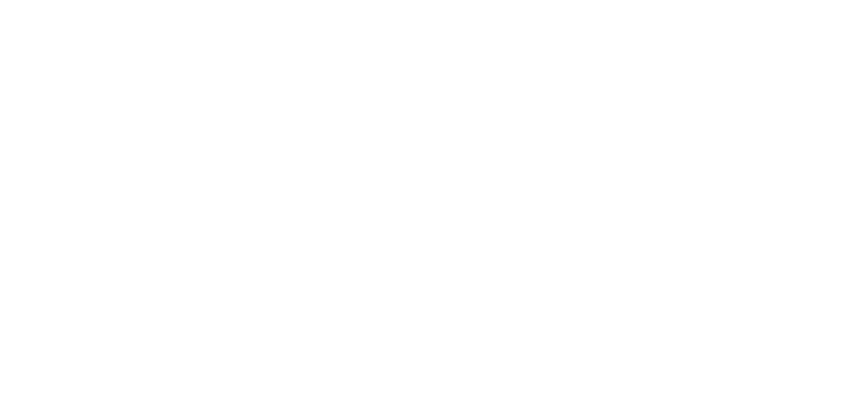 The Liberty Foundation